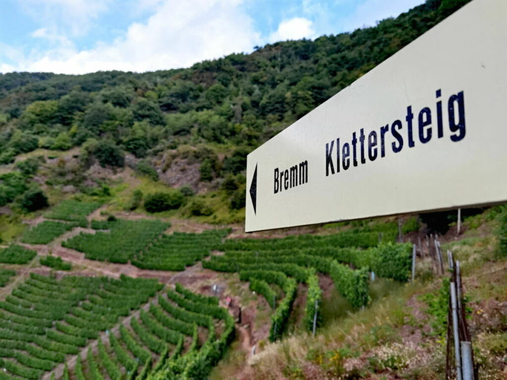 Der Calmont Klettersteig Bremm führt durch Europas steilsten Weinberg