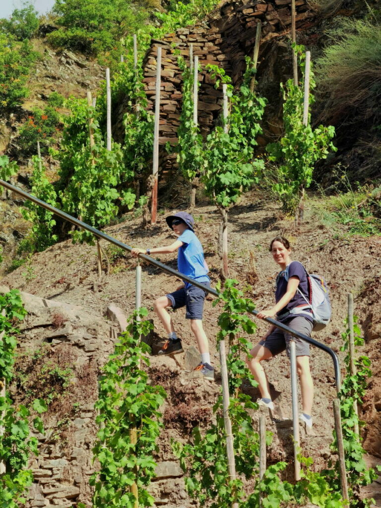 Calmont Klettersteig wandern