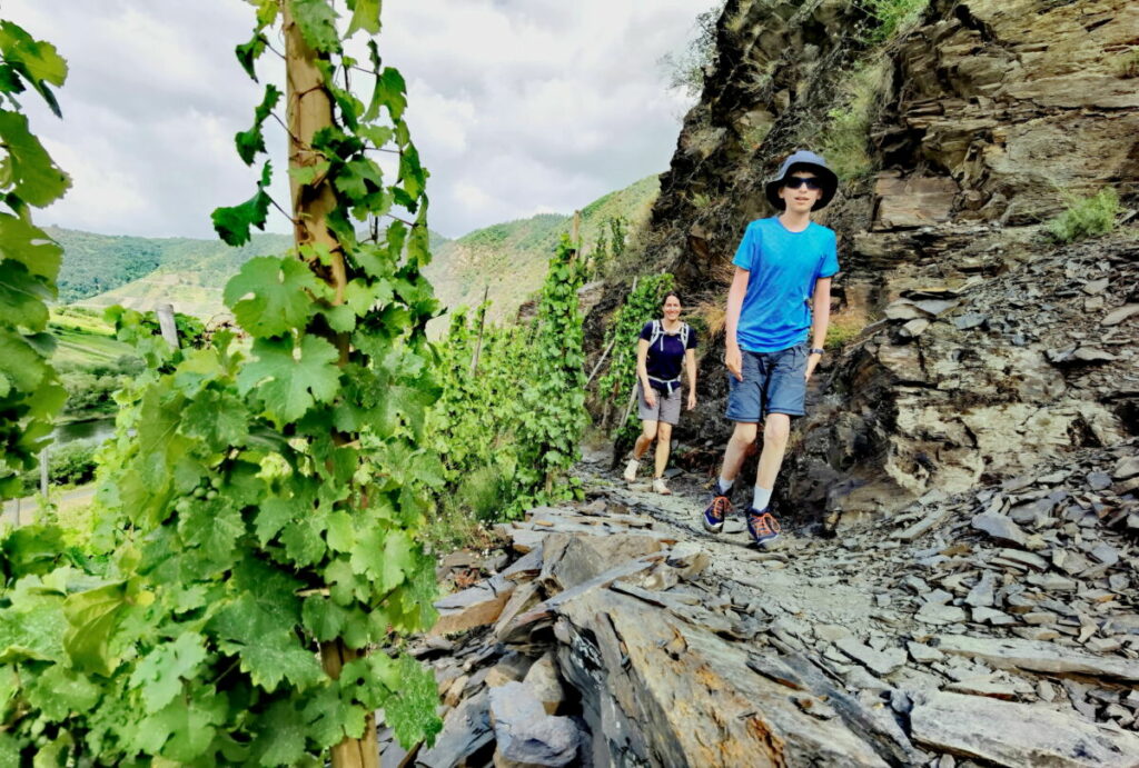 Der Calmont Klettersteig Rundweg ist sehr abwechslungsreich, zwischen Weinbergen und Schieferstein