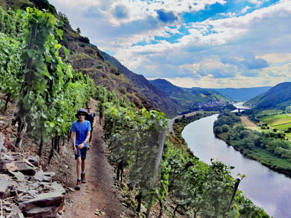 Calmont Klettersteig Rundweg - mit Blick auf die Mosel