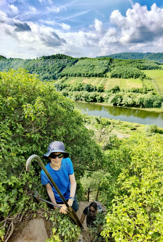 Immer weiter geht es auf dem Klettersteig an der Mosel hinauf - inmitten des steilsten Weinberg Europas