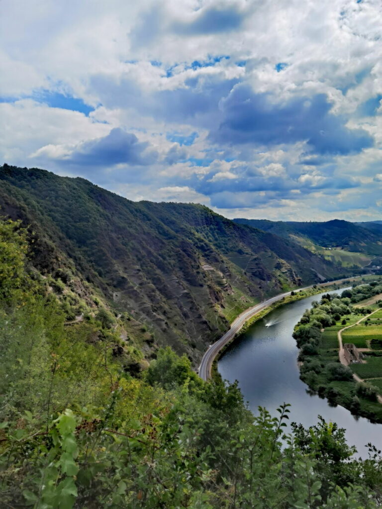 Moselschleife Bremm Aussichtspunkt