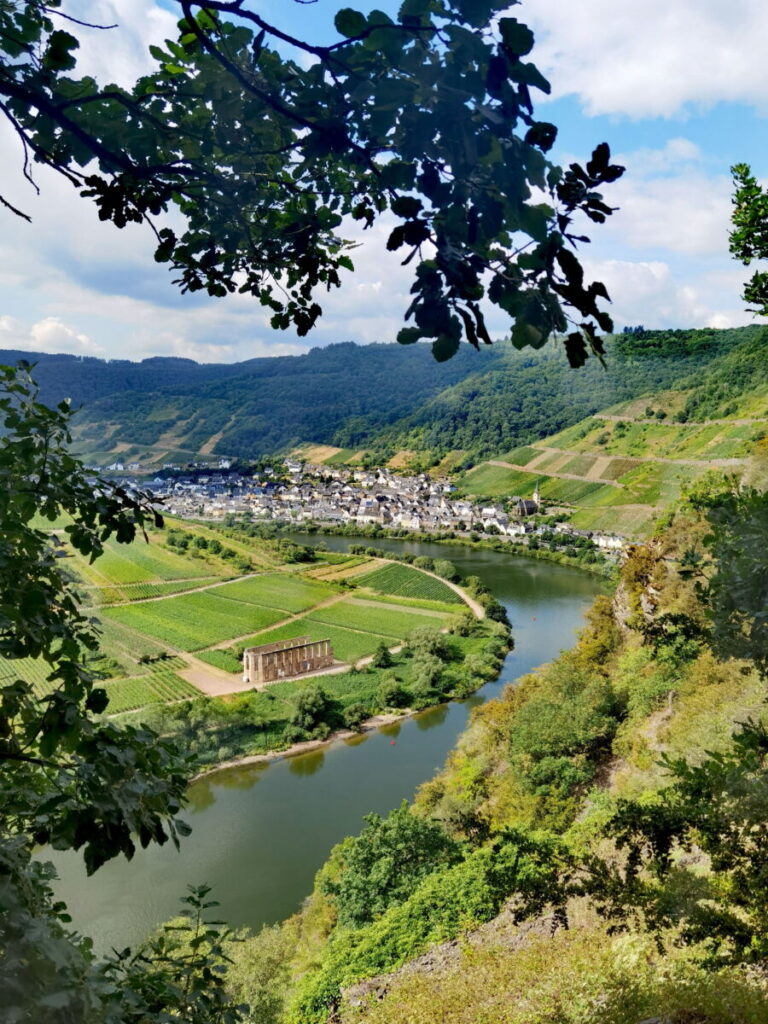 Blick von oben auf die Mosel und den Ort Bremm. Links im Bild: Die Ruine von Kloster Stuben.