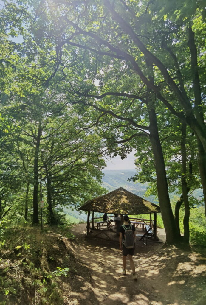 Idyllischer Aussichtspunkt Ediger Eller auf dem Calmont Höhenweg