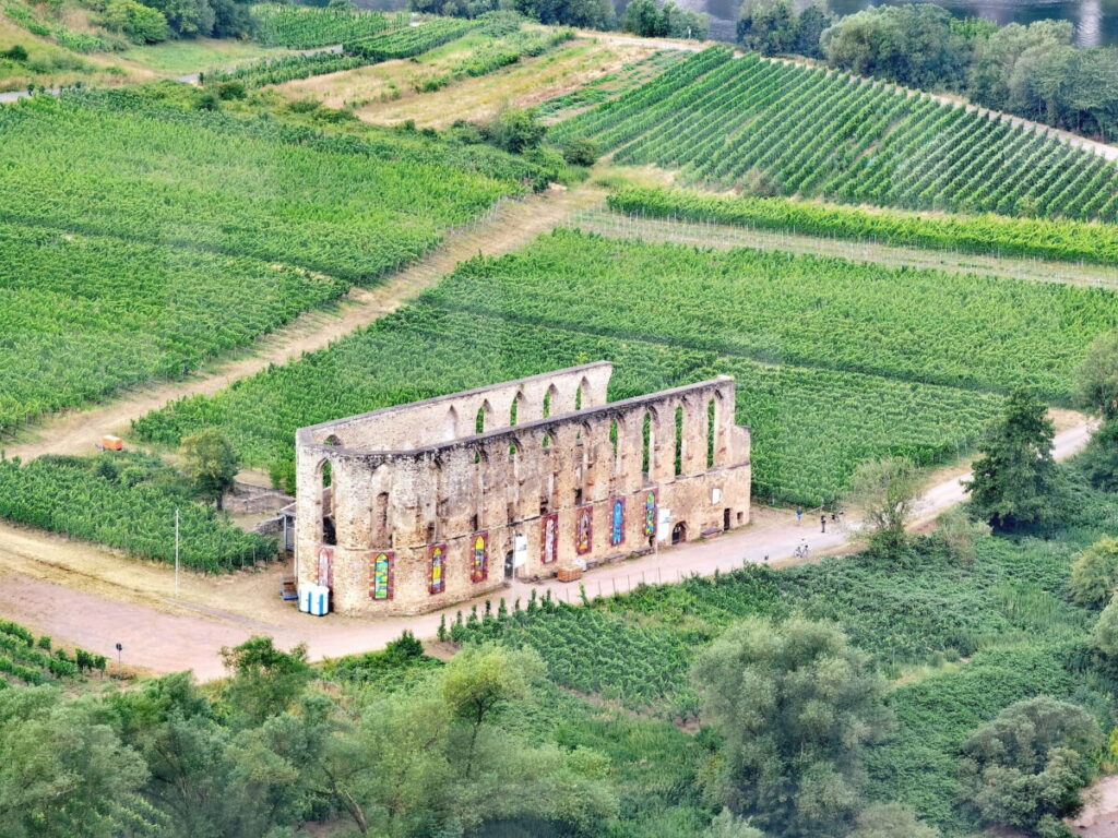 Die Ruine vom Kloster Stuben - umgeben von Weinbergen