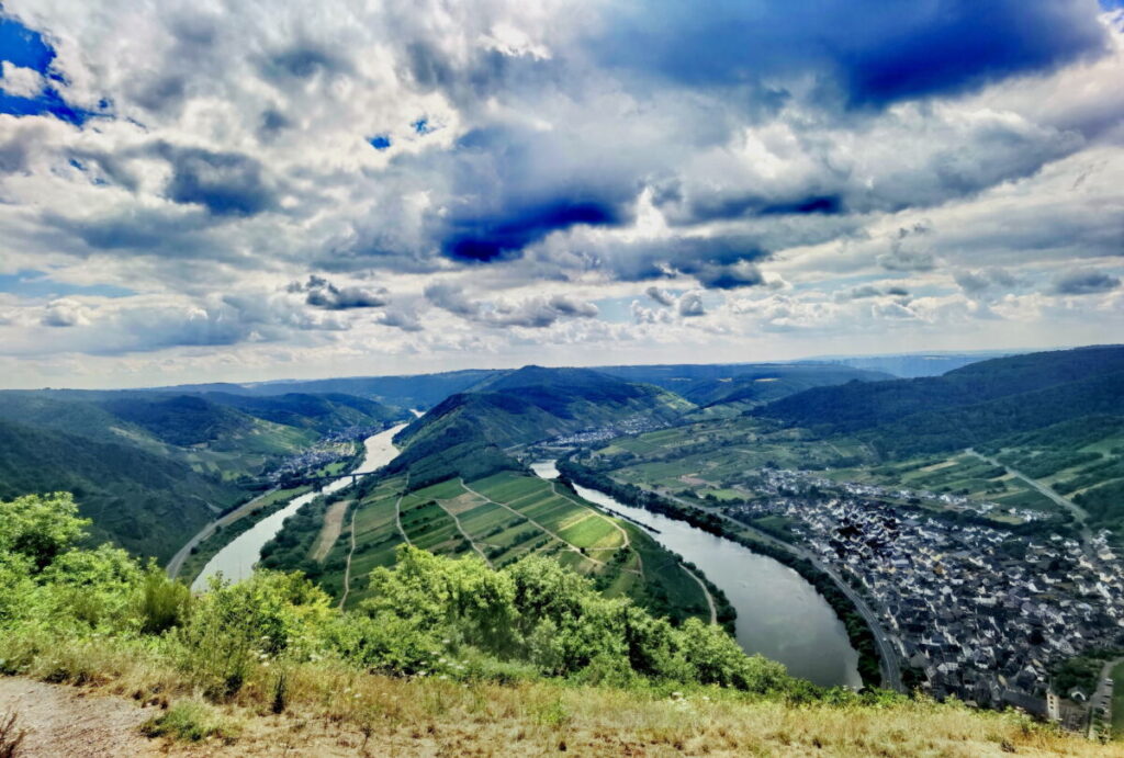 Blick vom Calmont auf die Moselschleife und Neef - in der Bildmitte